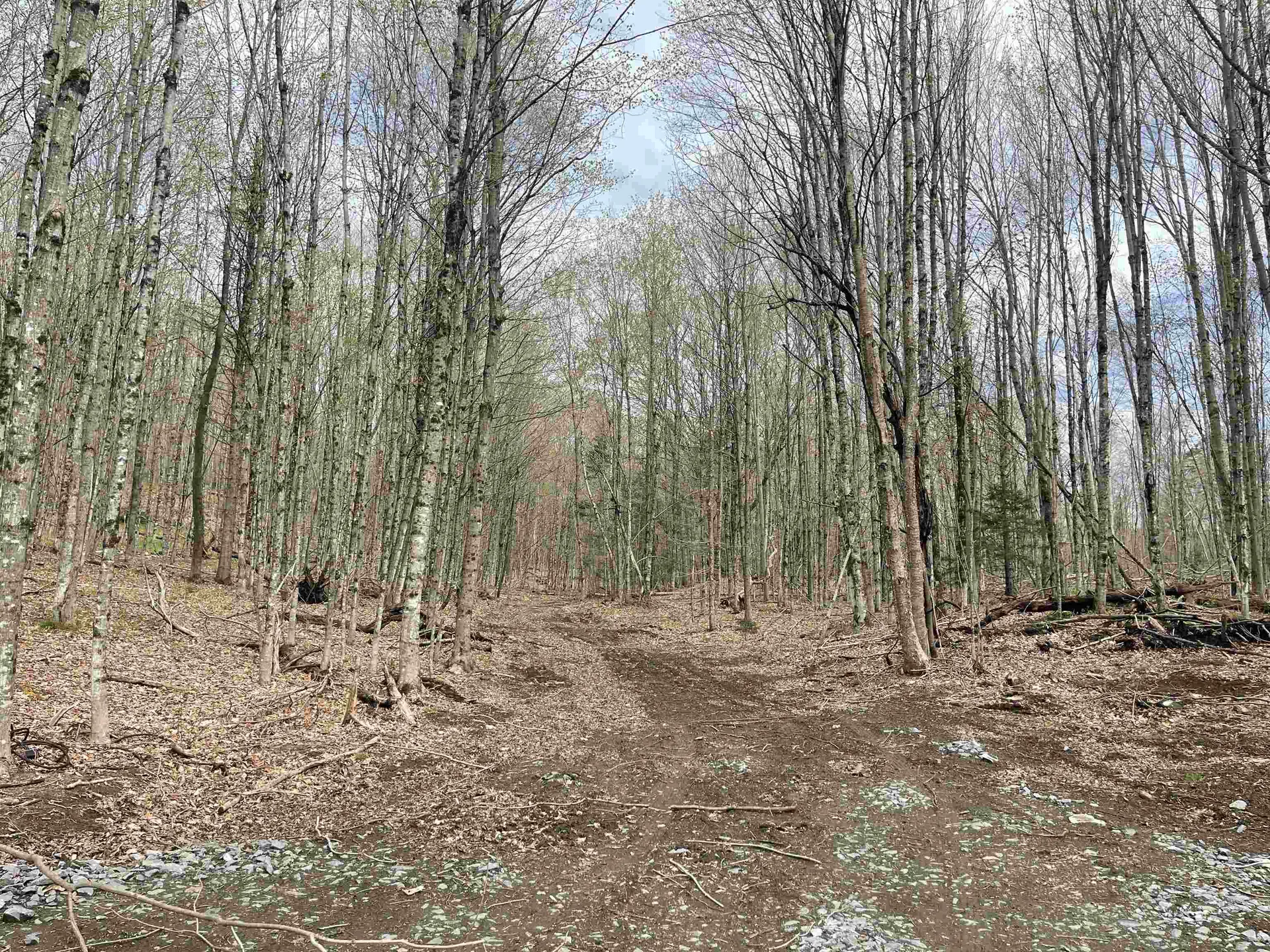 0 Grandview Road Williamstown VT 05079