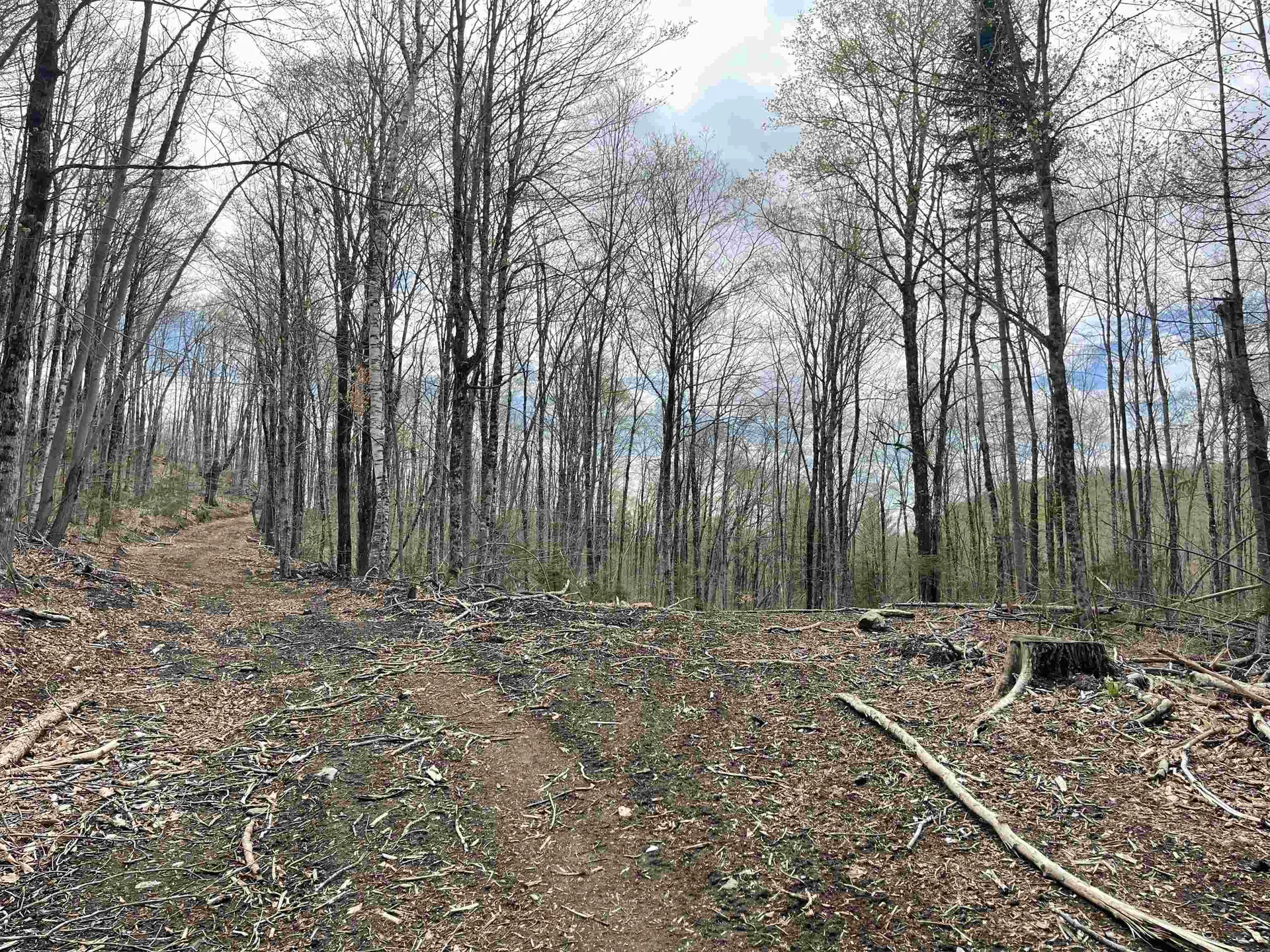 0 Grandview Road Williamstown VT 05079