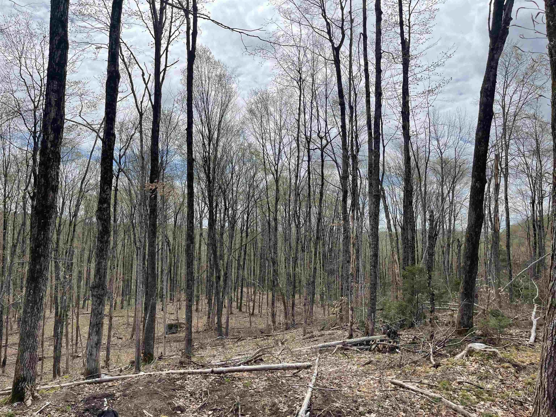 0 Grandview Road Williamstown VT 05079