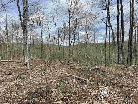 0 Grandview Road Williamstown VT 05079