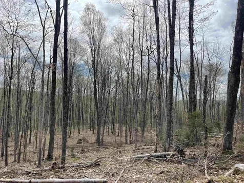 0 Grandview Road Williamstown VT 05079