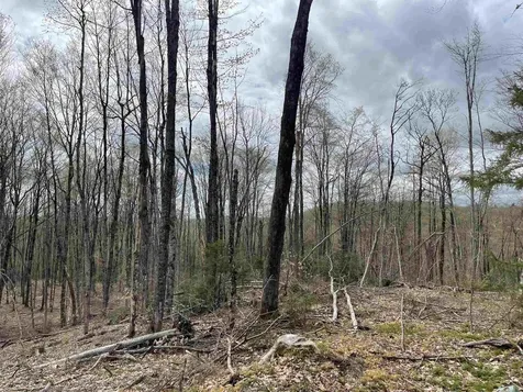 0 Grandview Road Williamstown VT 05079