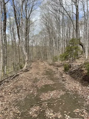 0 Grandview Road Williamstown VT 05079