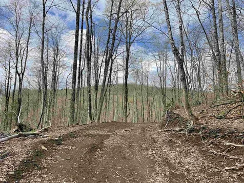 0 Grandview Road Williamstown VT 05079