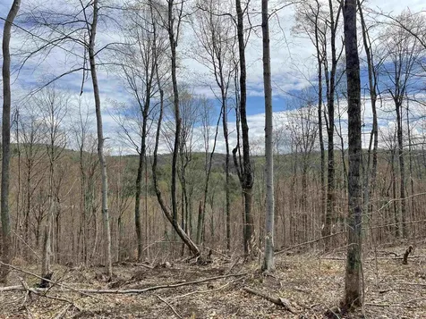 0 Grandview Road Williamstown VT 05079