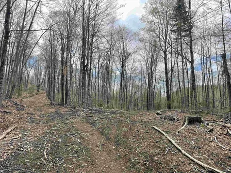 0 Grandview Road Williamstown VT 05079