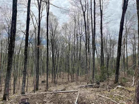 0 Grandview Road Williamstown VT 05079