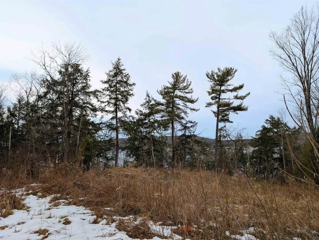 173 Basswood Ridge Colchester VT 05439