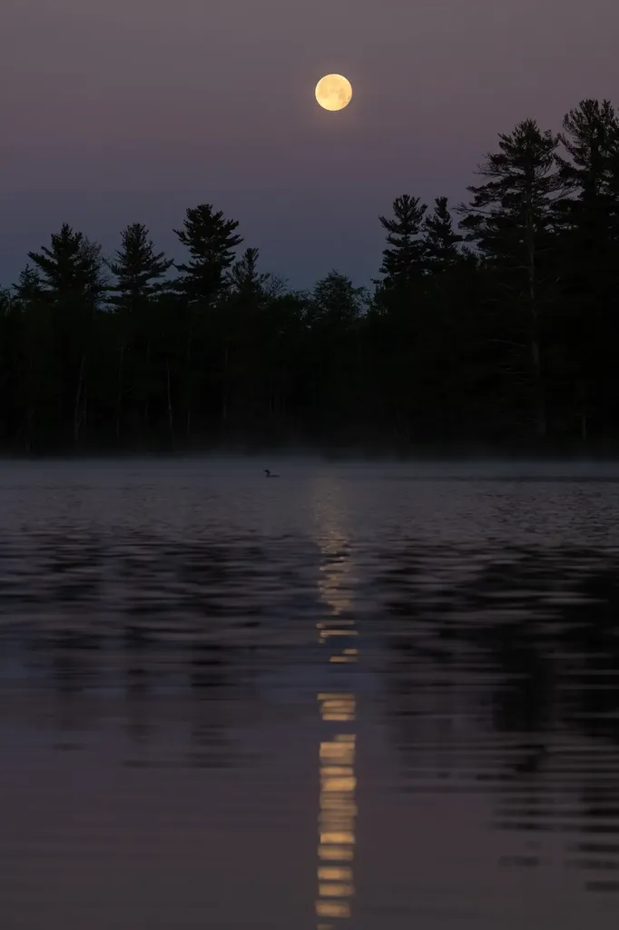 352 Waukeena Lake Road Danbury NH 03230