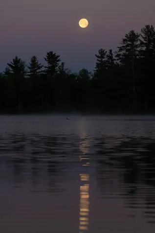 352 Waukeena Lake Road Danbury NH 03230