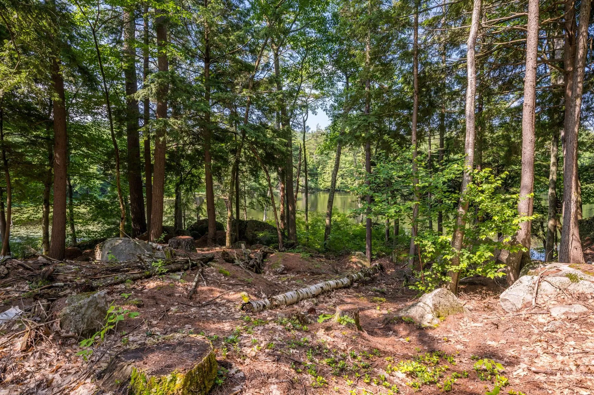 0 Edgemont Road Sunapee NH 03782