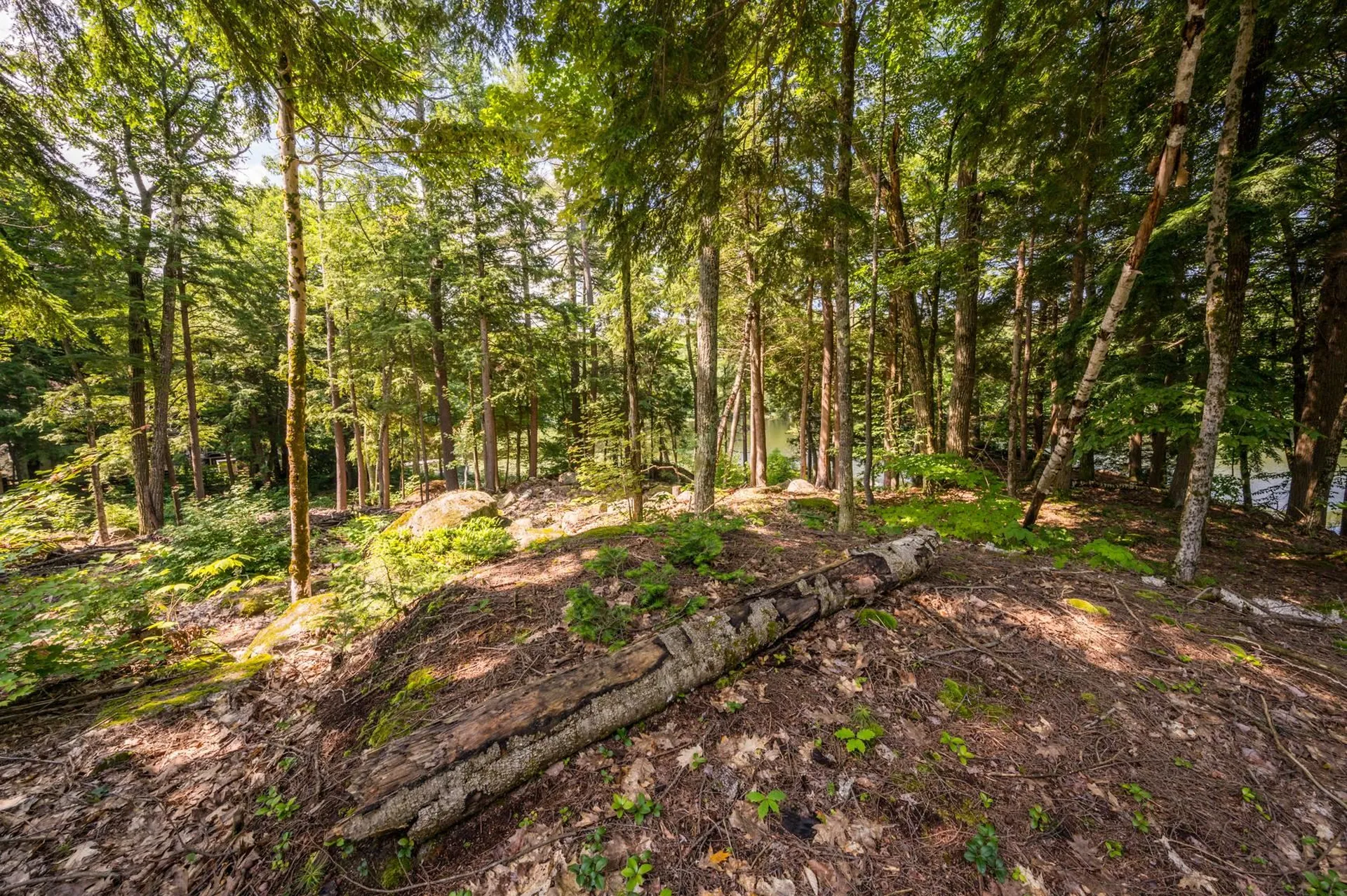 0 Edgemont Road Sunapee NH 03782