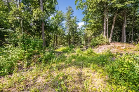 0 Edgemont Road Sunapee NH 03782