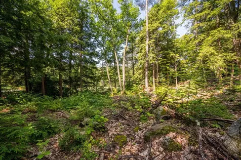 0 Edgemont Road Sunapee NH 03782
