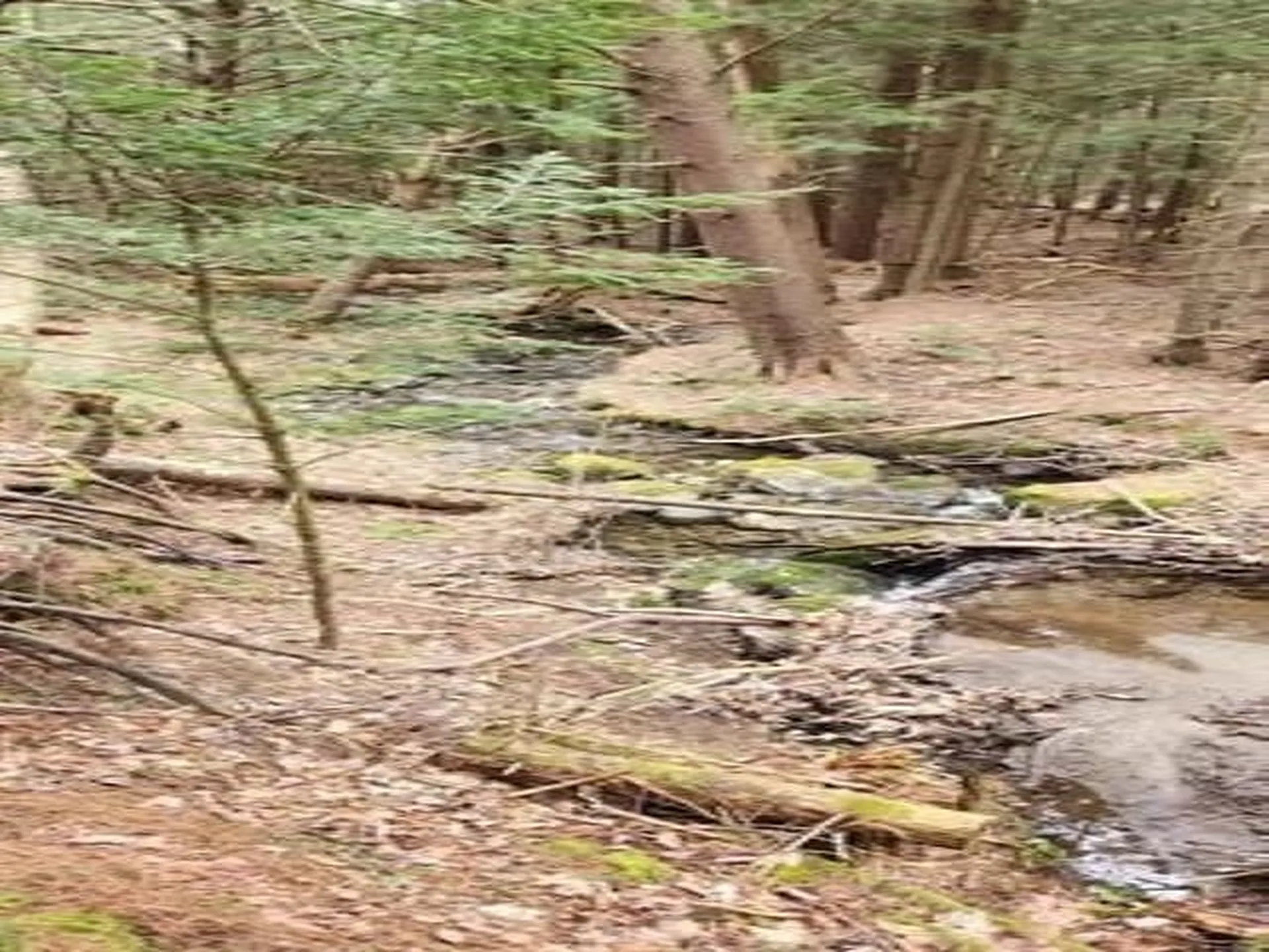 00 Thomas Drive Montgomery VT 05471