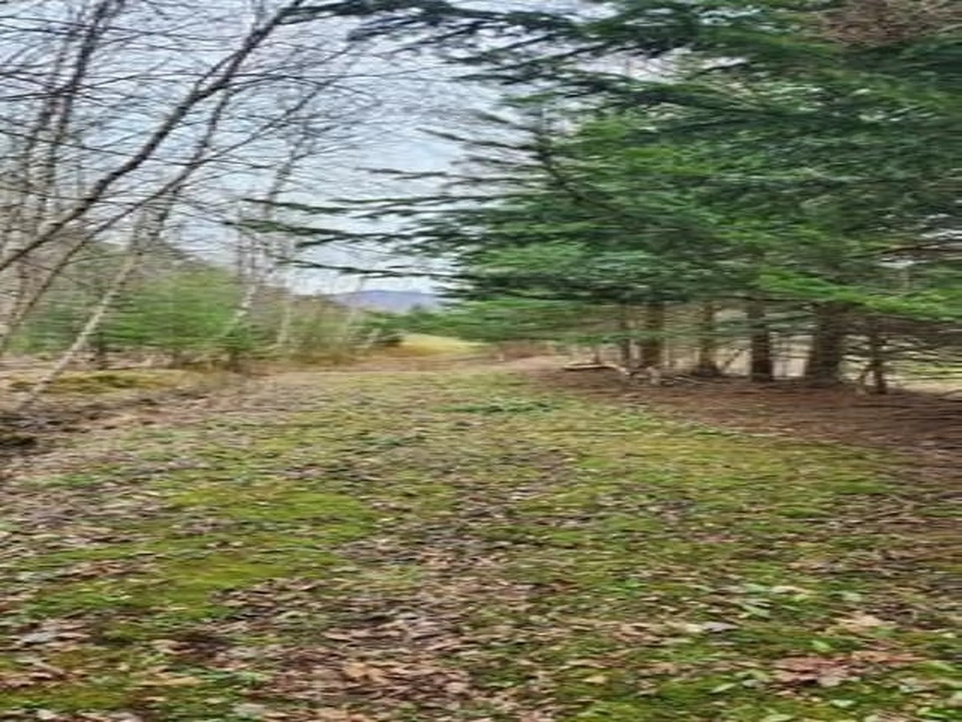 00 Thomas Drive Montgomery VT 05471