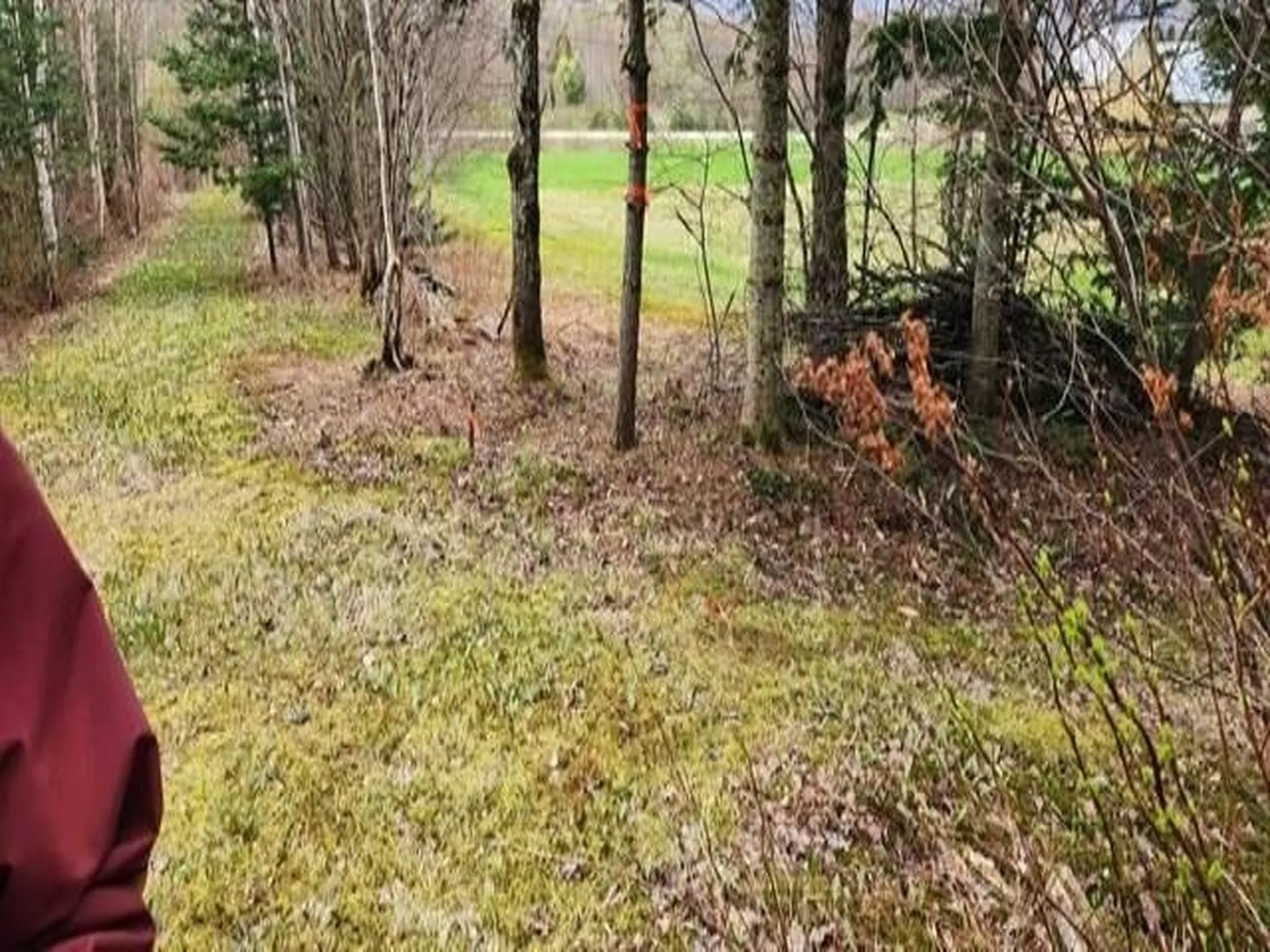 00 Thomas Drive Montgomery VT 05471