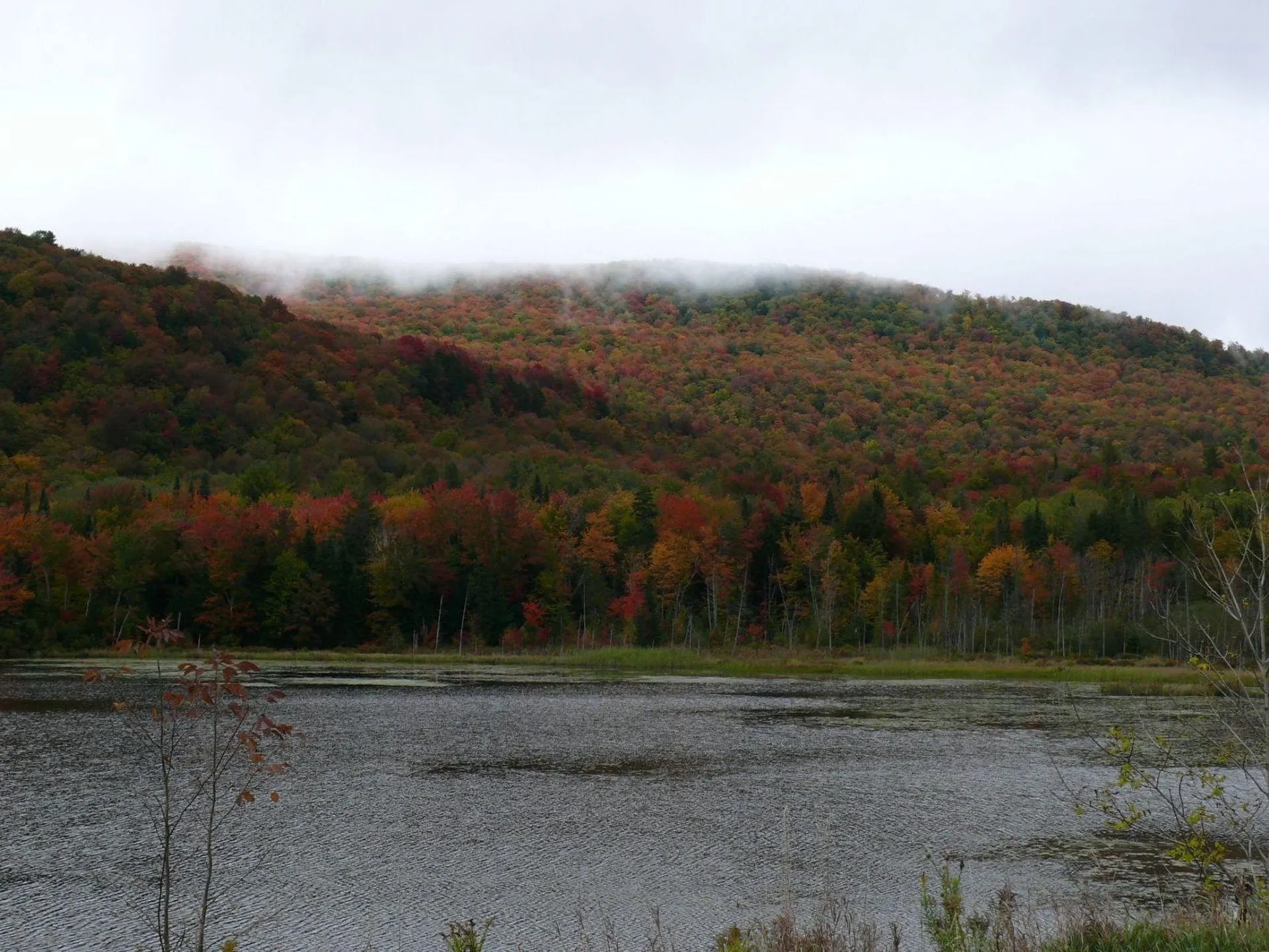 00 Thomas Drive Montgomery VT 05471