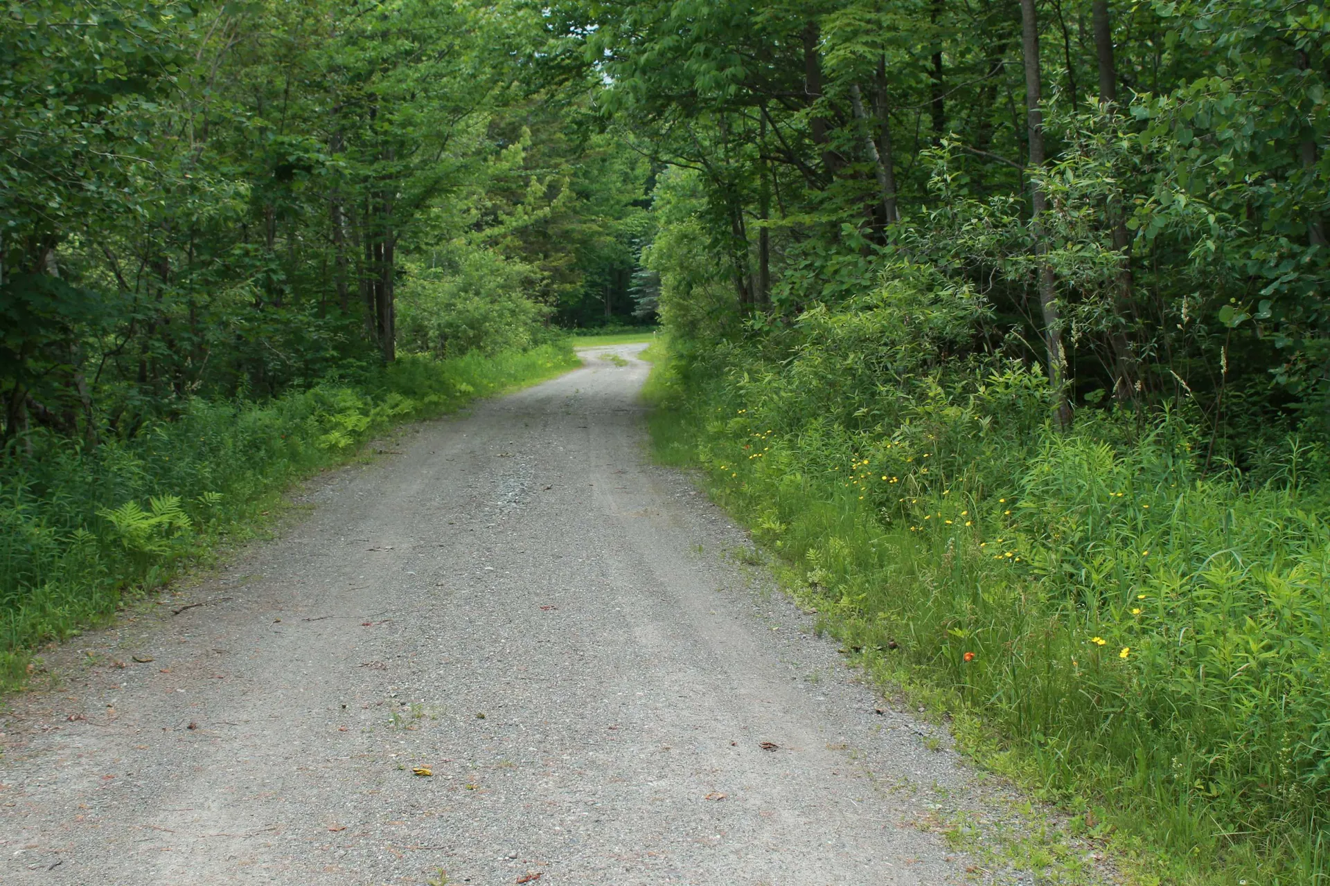 00 Thomas Drive Montgomery VT 05471