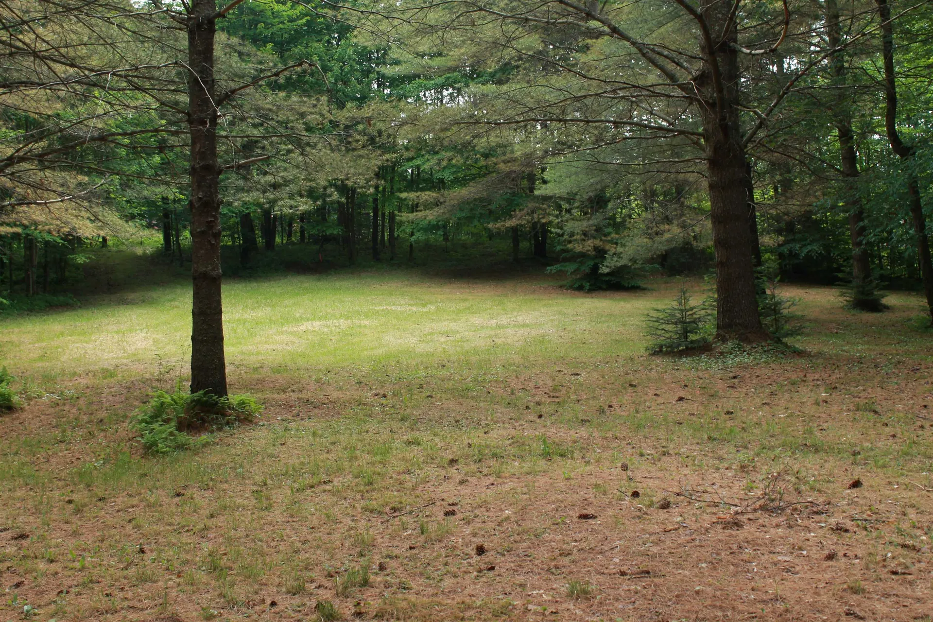 00 Thomas Drive Montgomery VT 05471