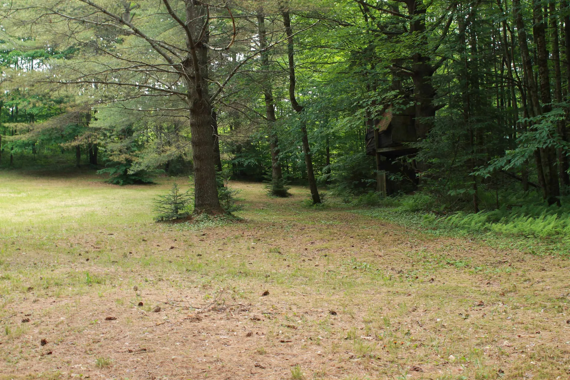 00 Thomas Drive Montgomery VT 05471