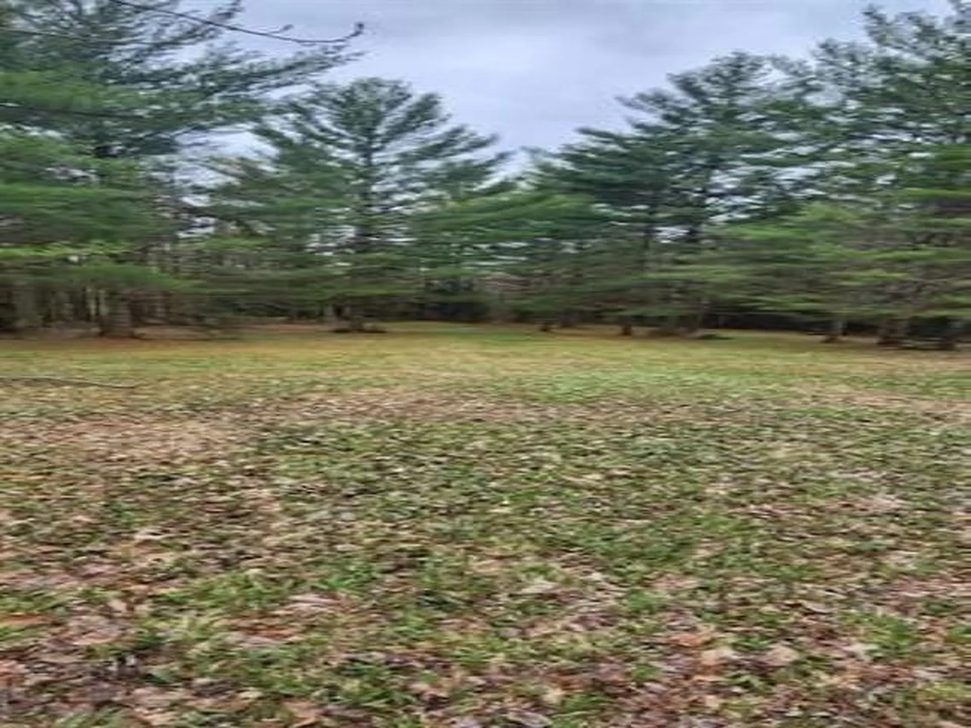 00 Thomas Drive Montgomery VT 05471