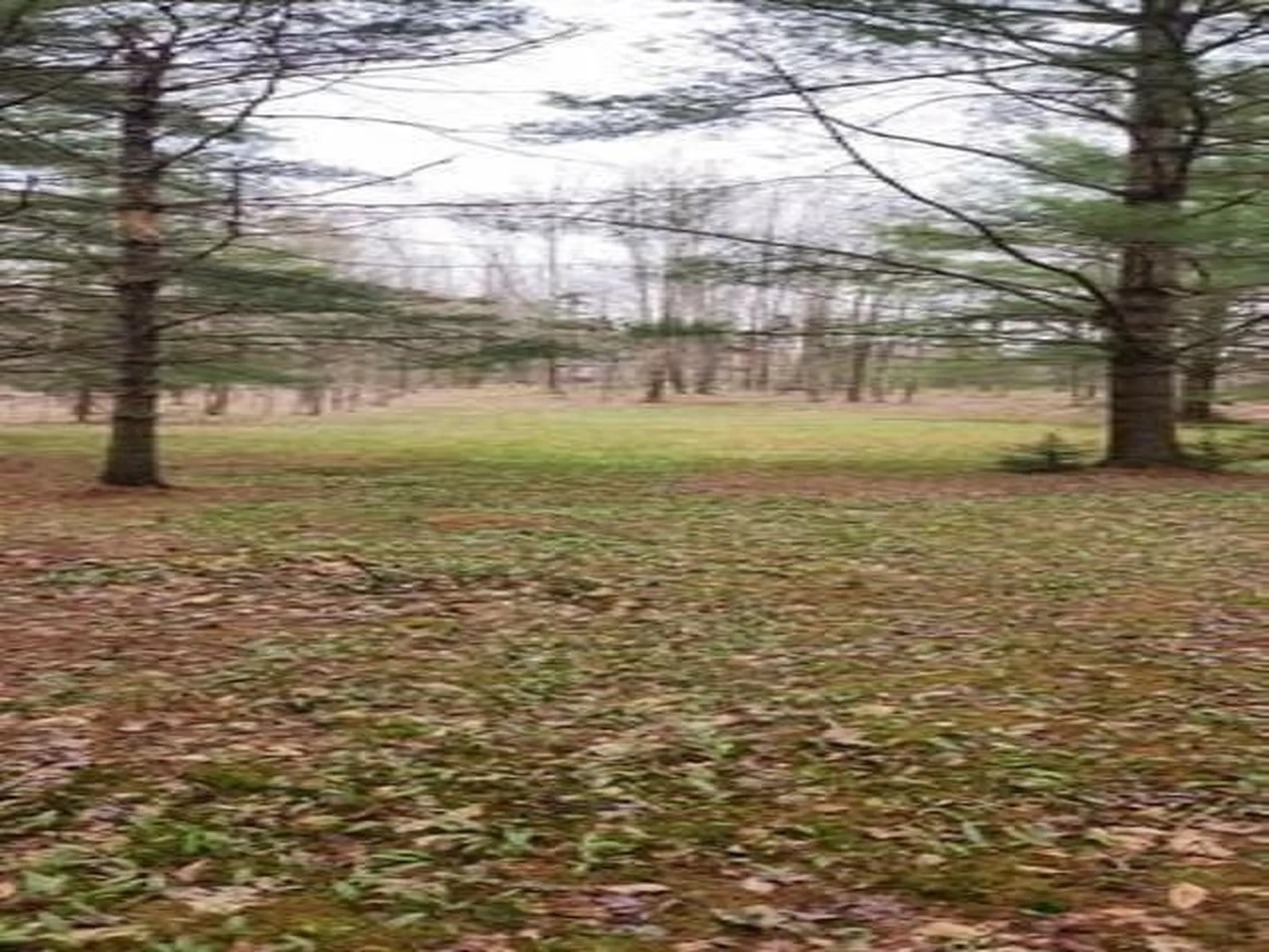 00 Thomas Drive Montgomery VT 05471