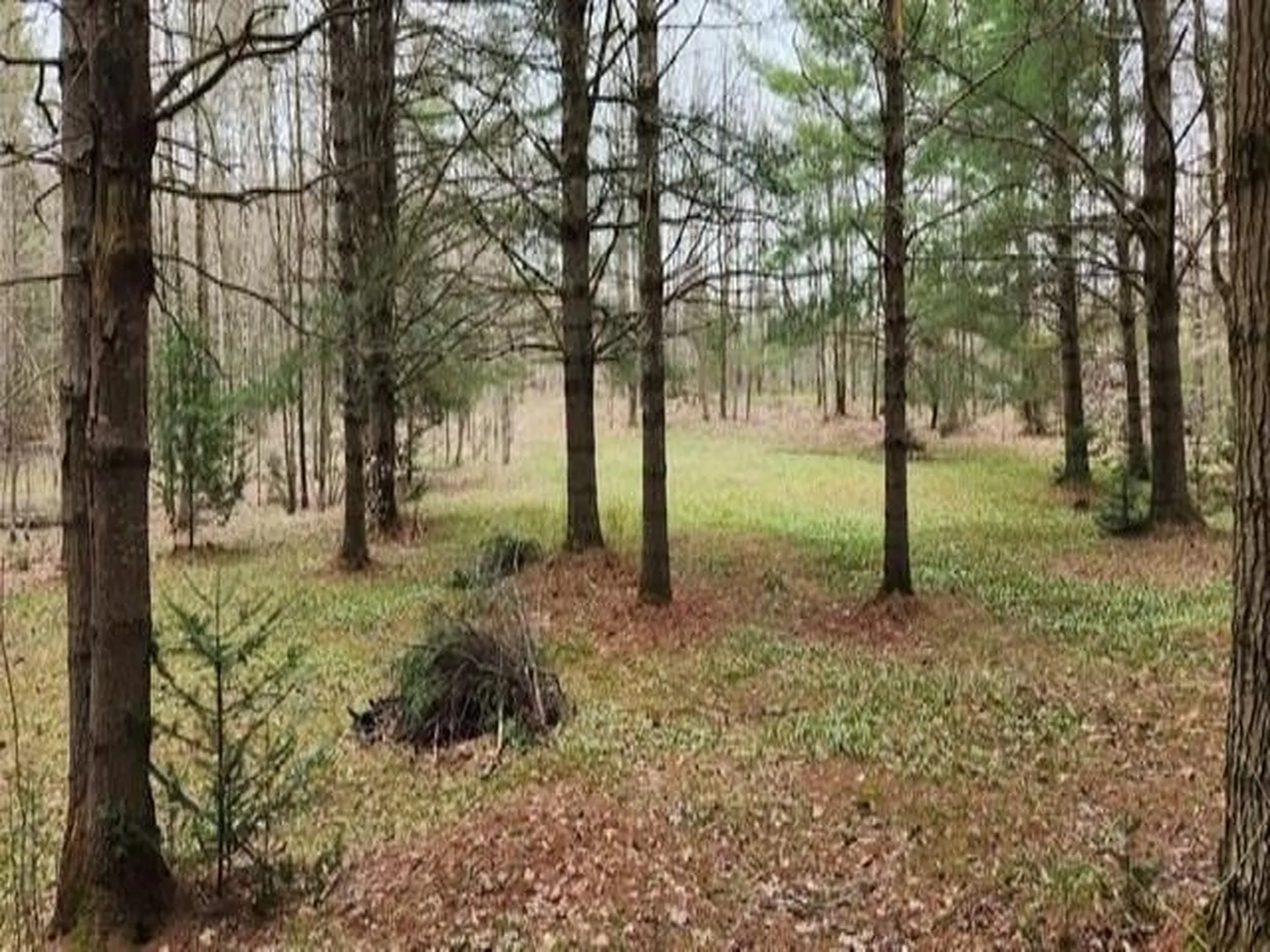 00 Thomas Drive Montgomery VT 05471