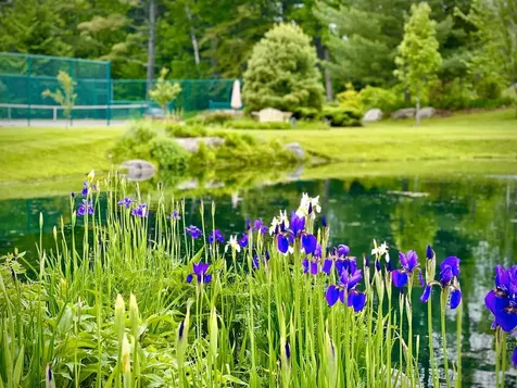 740 Edson Hill Road Stowe VT 05672