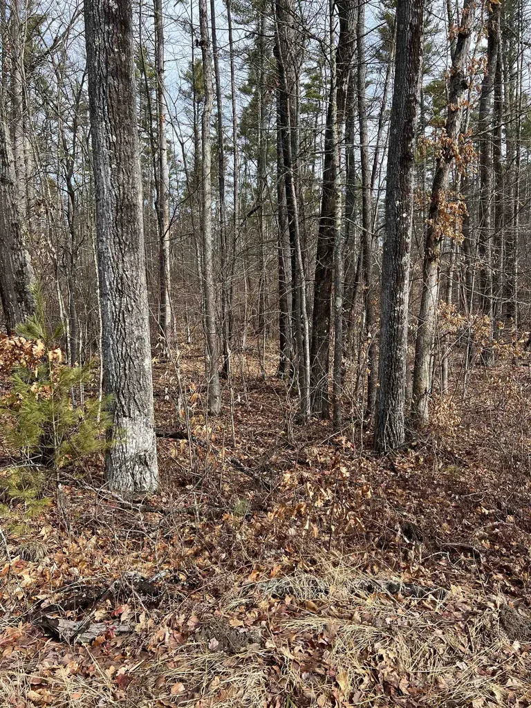 Pine Street Hopkinton NH 03229