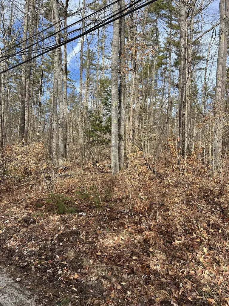 Pine Street Hopkinton NH 03229