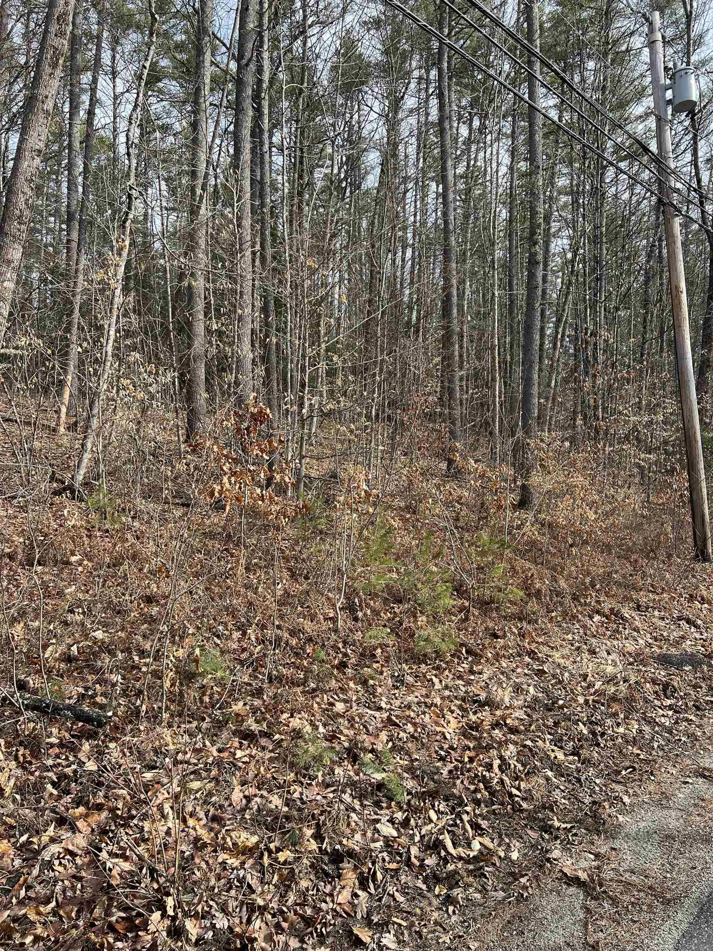 Pine Street Hopkinton NH 03229