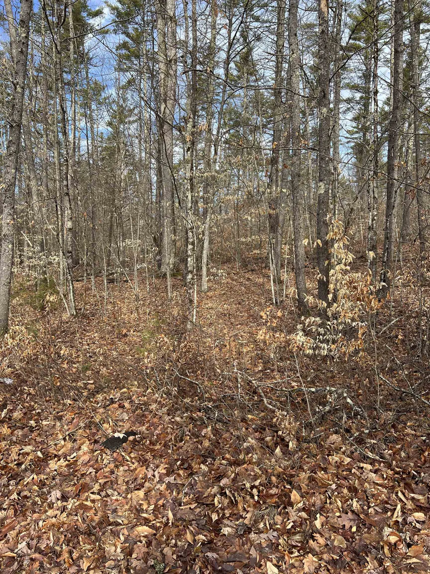 Pine Street Hopkinton NH 03229