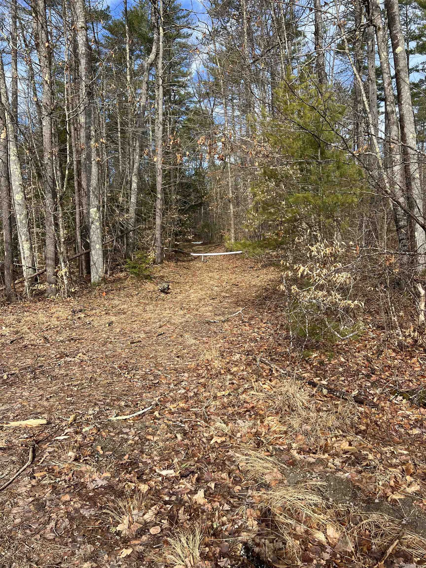 Pine Street Hopkinton NH 03229