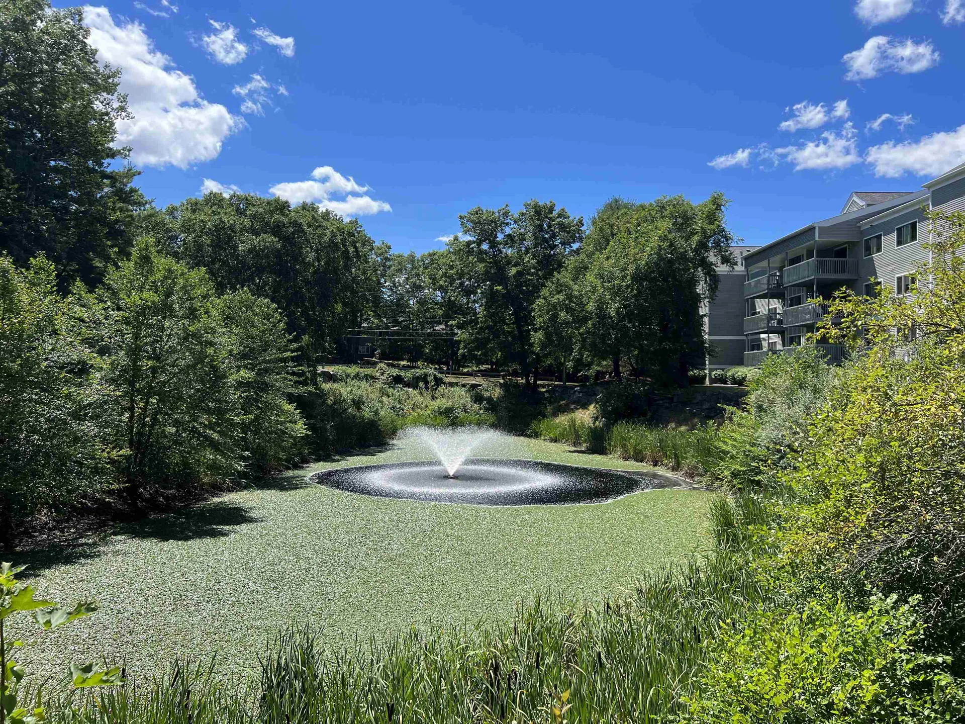 47 Dogwood Drive Nashua NH 03062-4403