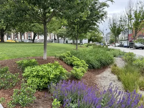 131 Main Street Burlington VT 05401