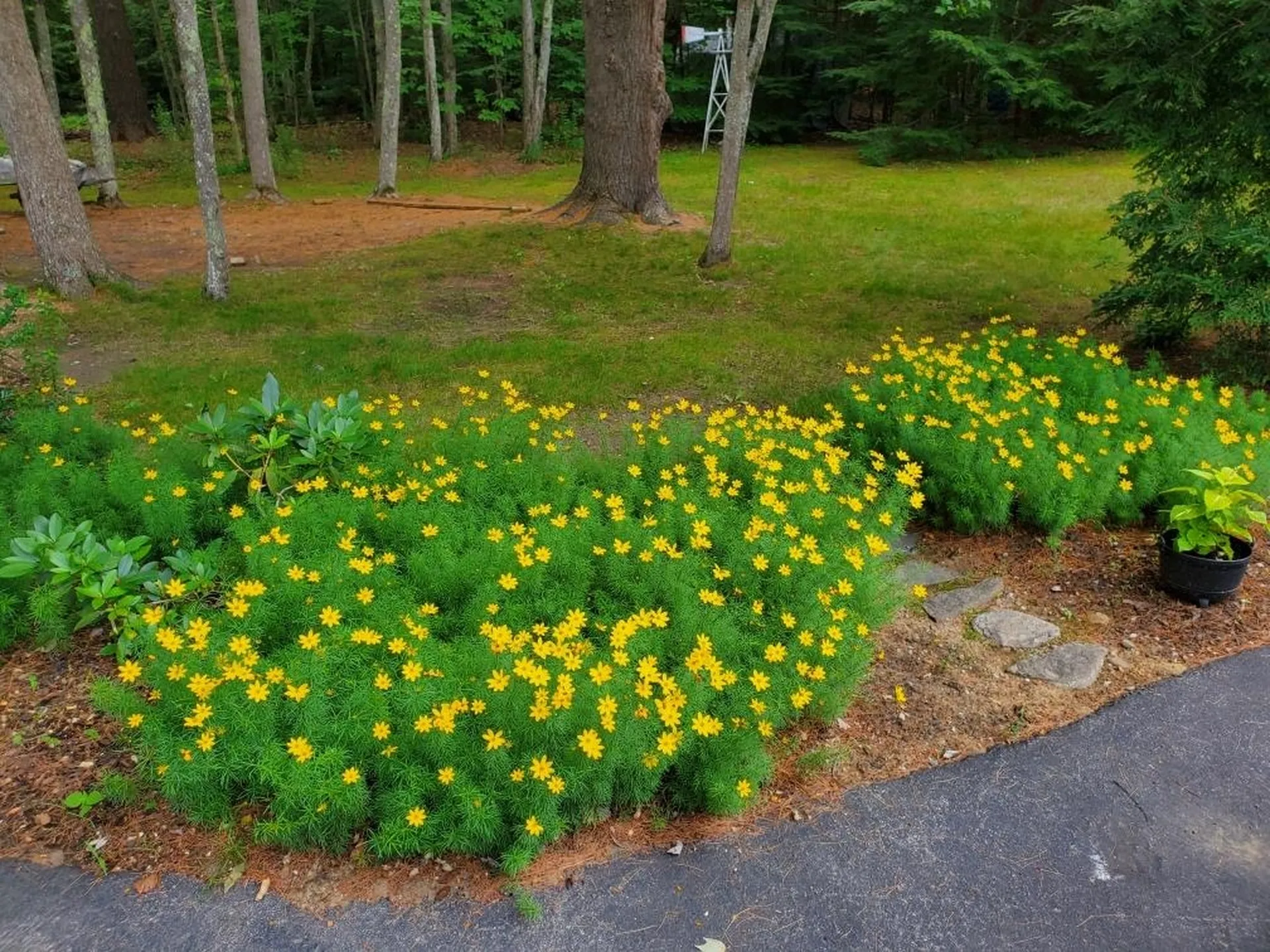 114 Parade Road Barnstead NH 03218