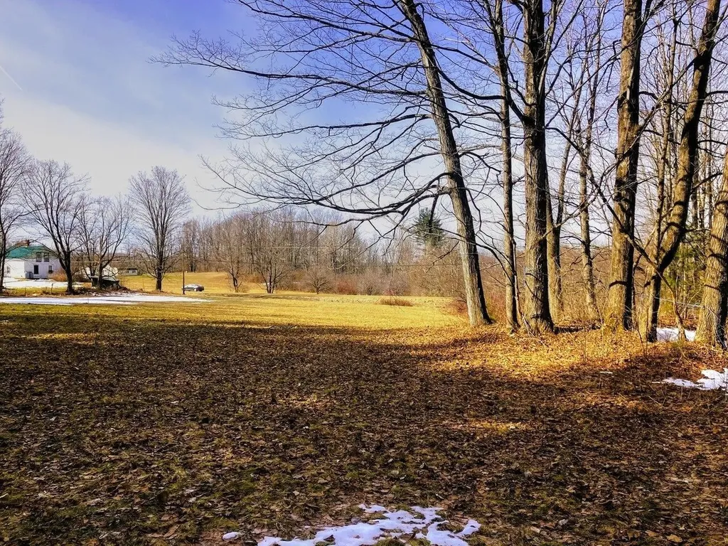 Lot #3 Shackett Road Leicester VT 05733