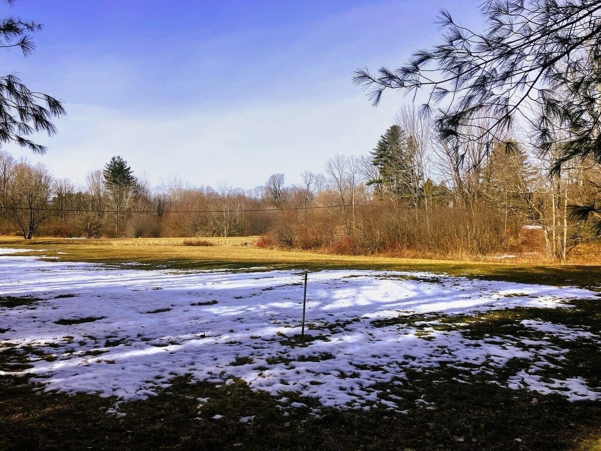 237 Shackett Road Leicester VT 05733