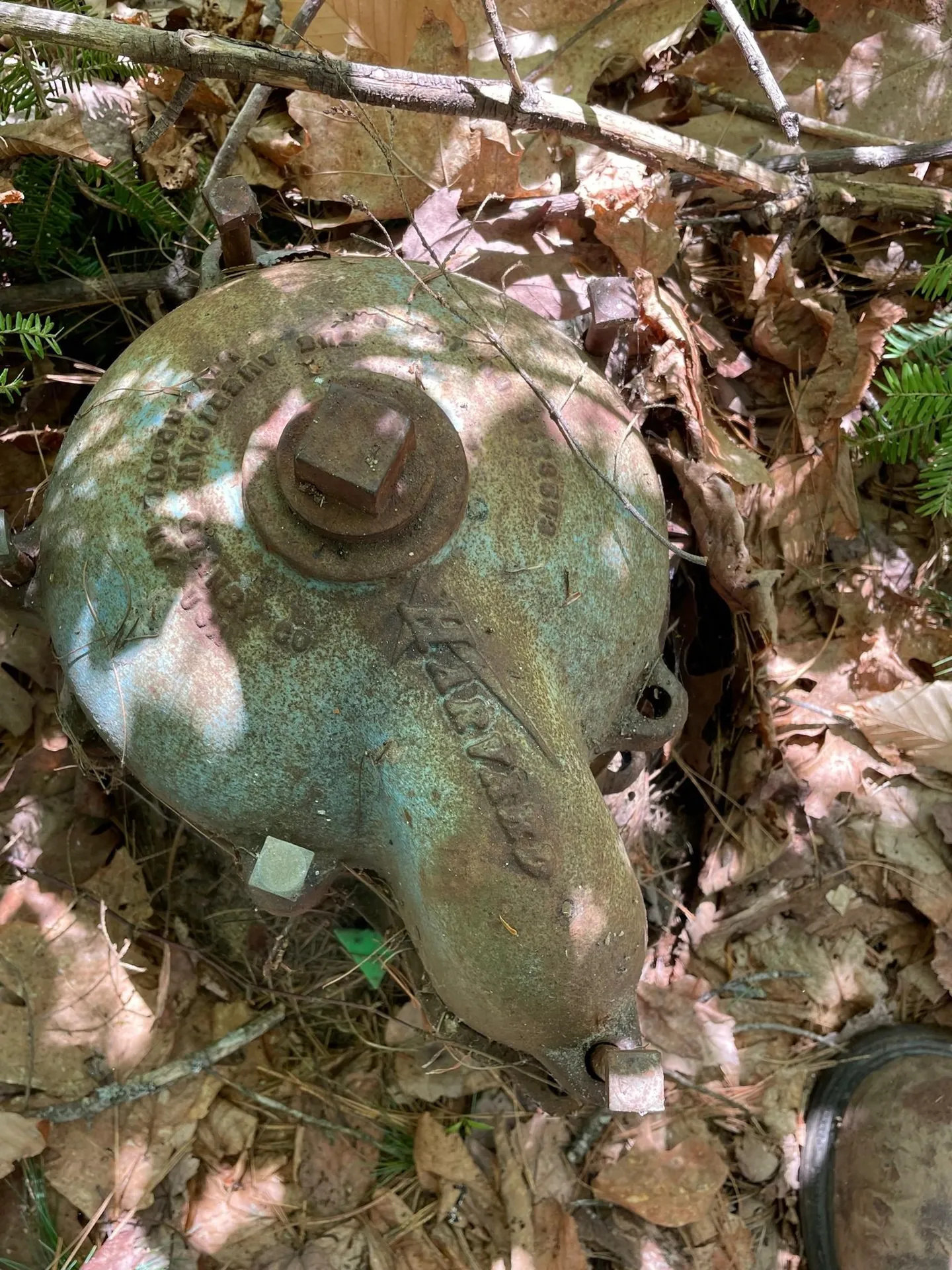 46 Stoneham Way Wakefield NH 03872