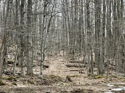 21 Stewart Hill Westford VT 05494