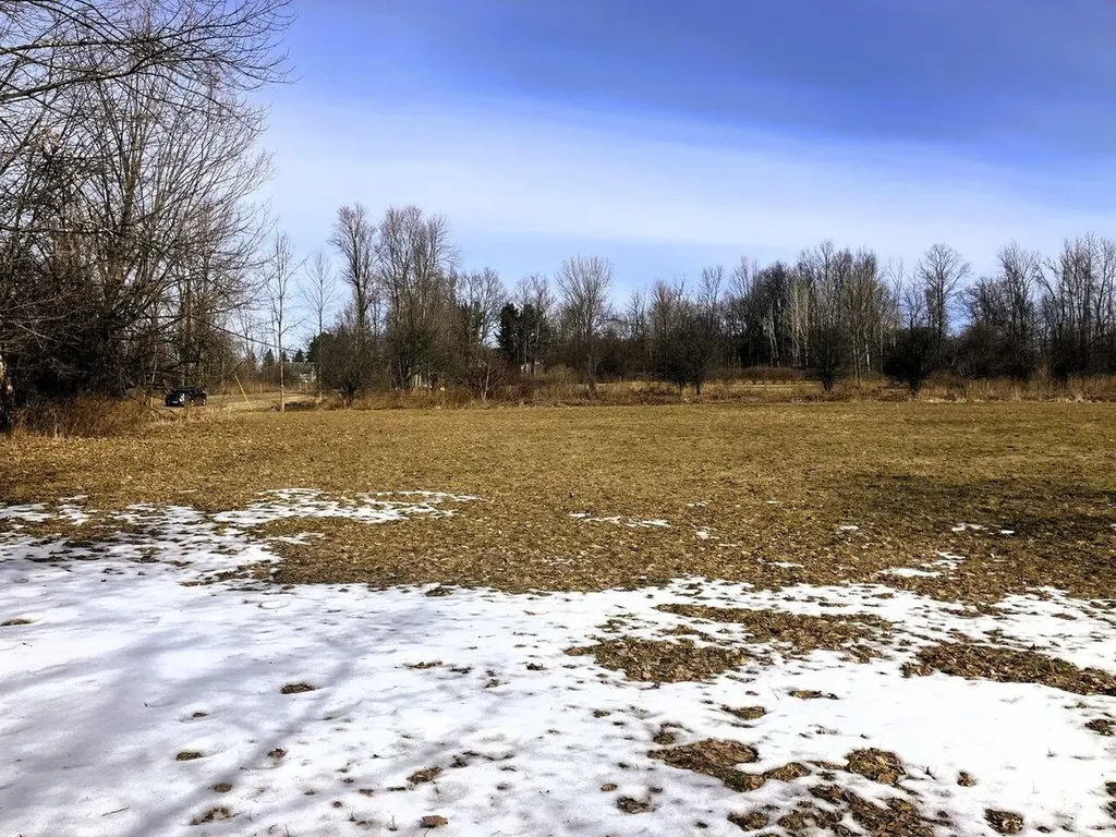 153 Shackett Road Leicester VT 05733