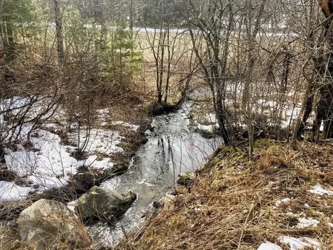 Lot #2 Shackett Road Leicester VT 05733
