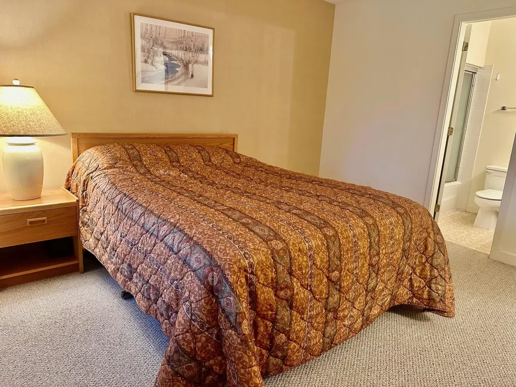 75 East Birch Road Stratton VT 05155