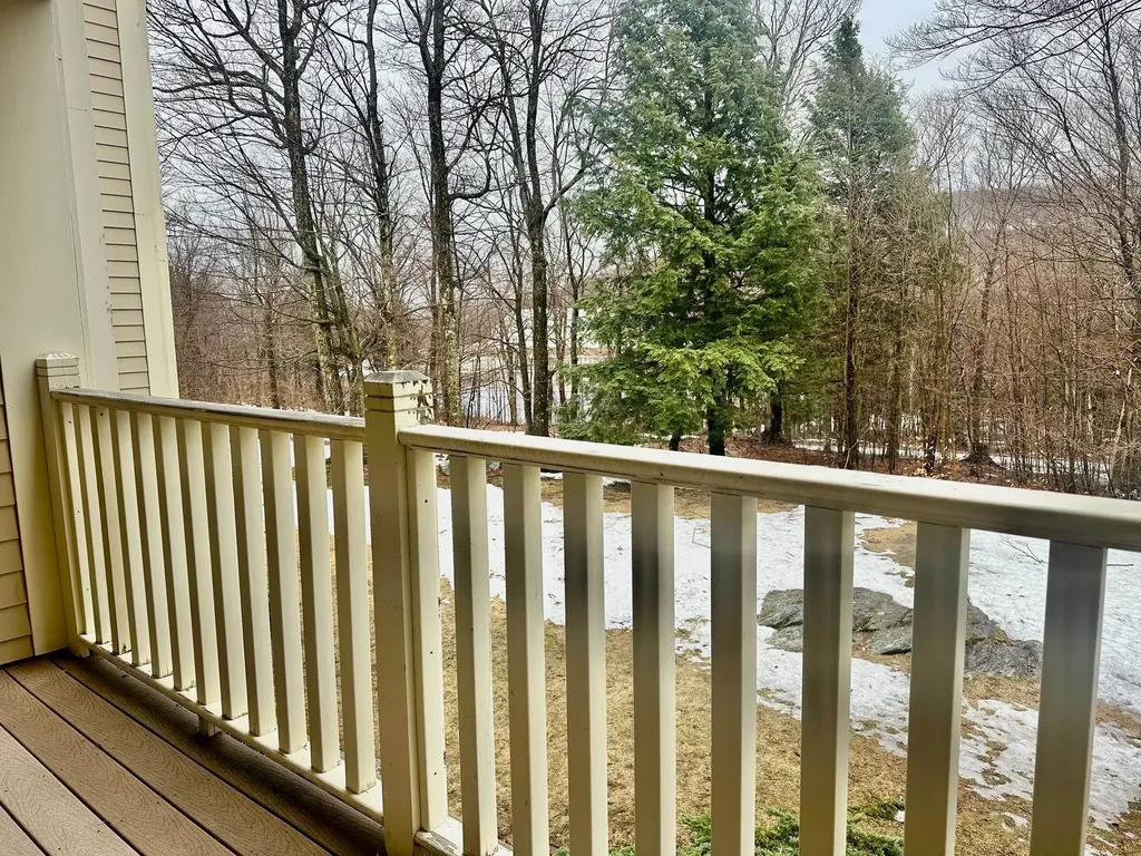 75 East Birch Road Stratton VT 05155