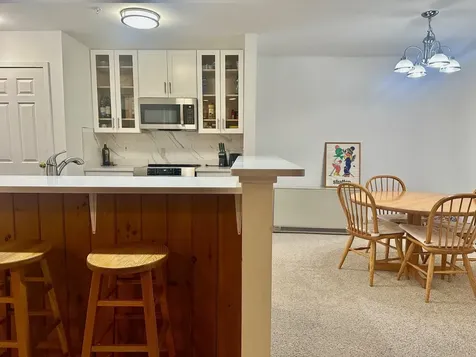 85 East Birch Road Stratton VT 05155