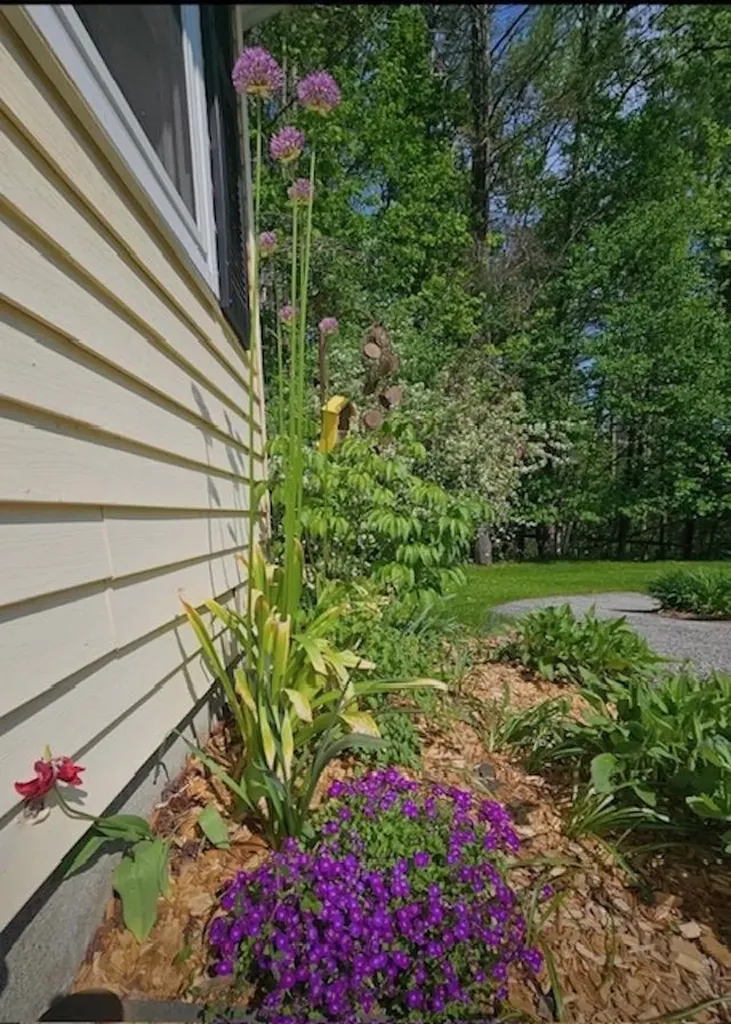 40 George Street Montpelier VT 05602