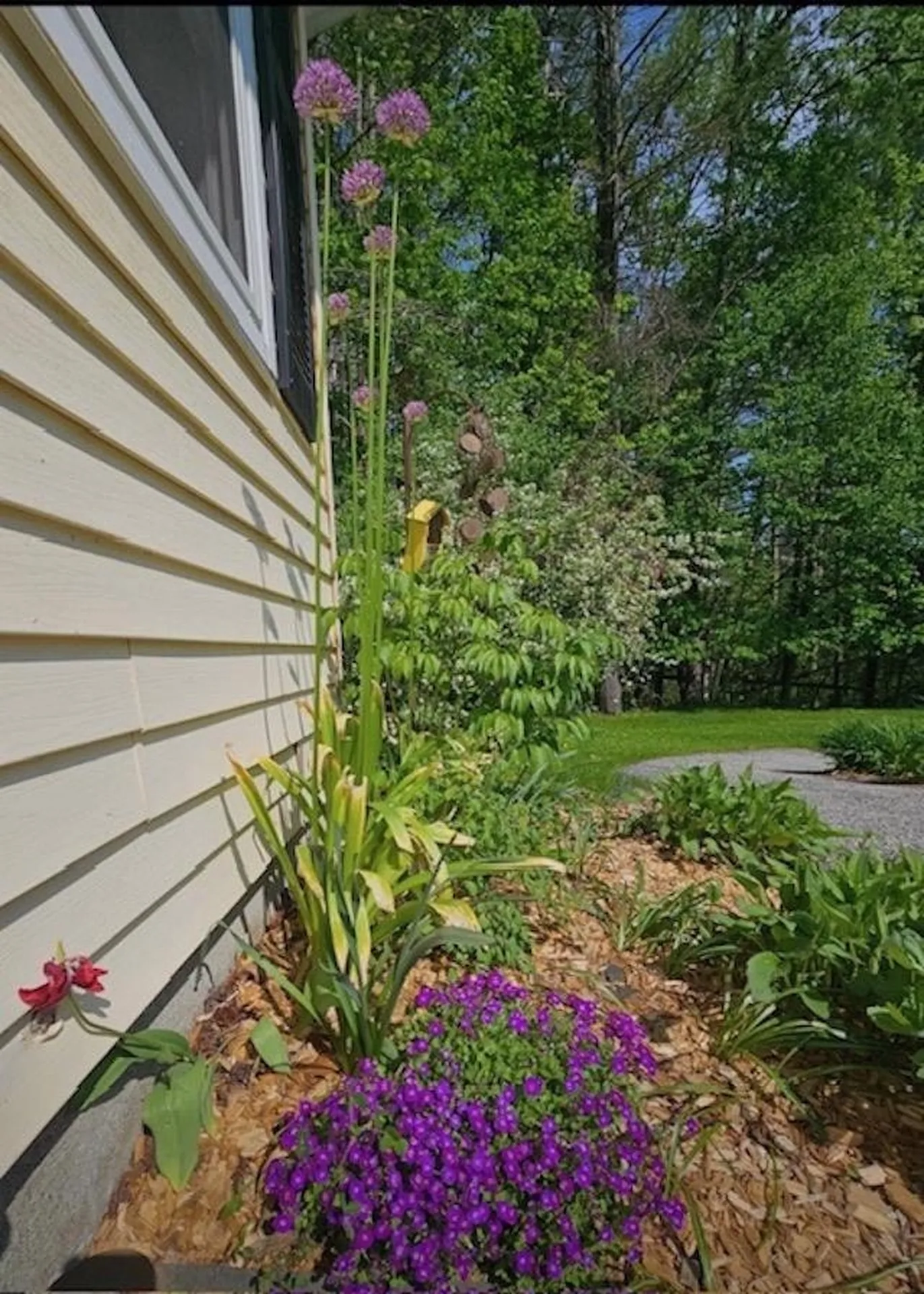 40 George Street Montpelier VT 05602