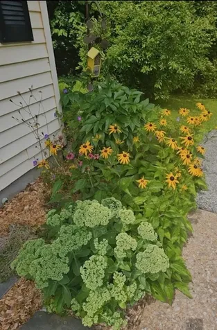 40 George Street Montpelier VT 05602