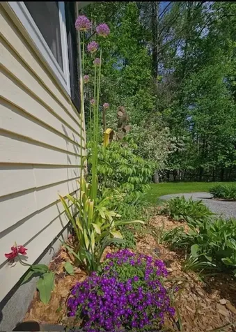 40 George Street Montpelier VT 05602